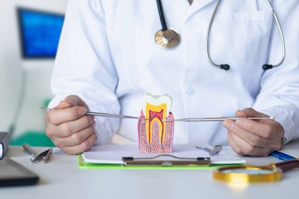 Best Emergency Broken Tooth Repair in East Douglas, MA